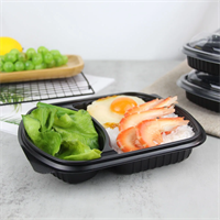 Прямоугольные пластиковые контейнеры