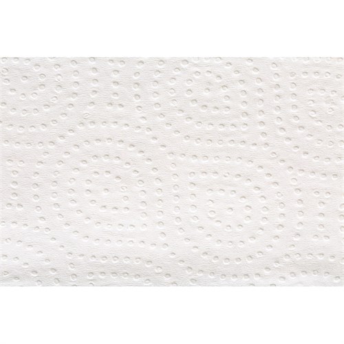 Полотенца бумажные листовые Focus Premium 5083802 Z-слож. 2-х сл. растворимые 200 л 20 шт. - фото 26907