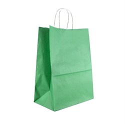 Пакет бумажный с кручеными ручками, зеленый, 260*150*340 мм, AVIORA, 200 шт