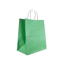 Пакет бумажный с кручеными ручками, зеленый, 240*140*280 мм, AVIORA, 300 шт