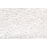 Полотенца бумажные листовые Focus Premium 5083802 Z-слож. 2-х сл. растворимые 200 л 20 шт. - фото 26907