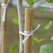 Шпагат ПП 1600 текс, бобина 0,5 кг, AVIORA - фото 27874