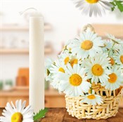 Свеча хозяйственная, диаметр 2,4 см, высота 19 см, высший сорт - фото 28017